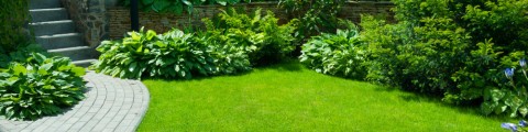 8 astuces pour un beau jardin sans entretien
